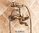rustic wall faucet - shower and bath -