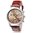 Luxury Trendy Man Sports Brown Wrist Watch fake Stopwatch