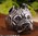 Exaggerated Dog Ring Pitbull hound head shaped Knuckle steel