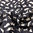 Cats Printed Chiffon Veil Muslin Scarf black & Beige
