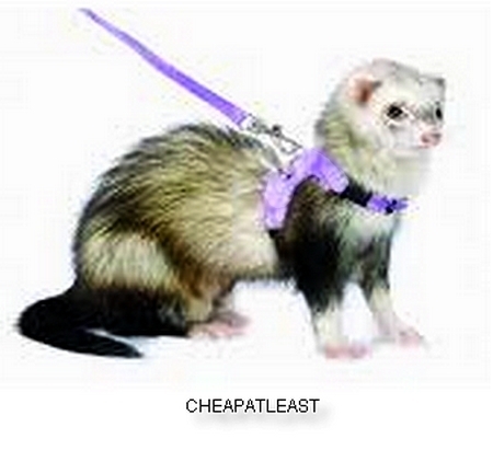 Set Harness + Leash for Ferret, Dwarf Rabbit, Kitten, Reptiles, Pet